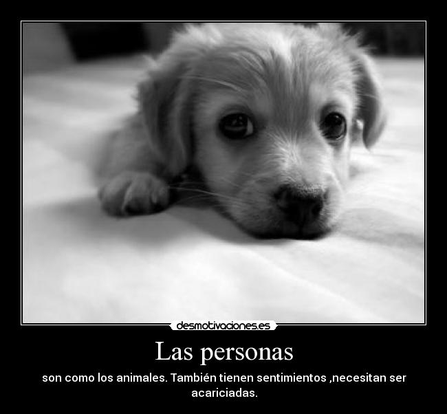 Las personas - son como los animales. También tienen sentimientos ,necesitan ser acariciadas.