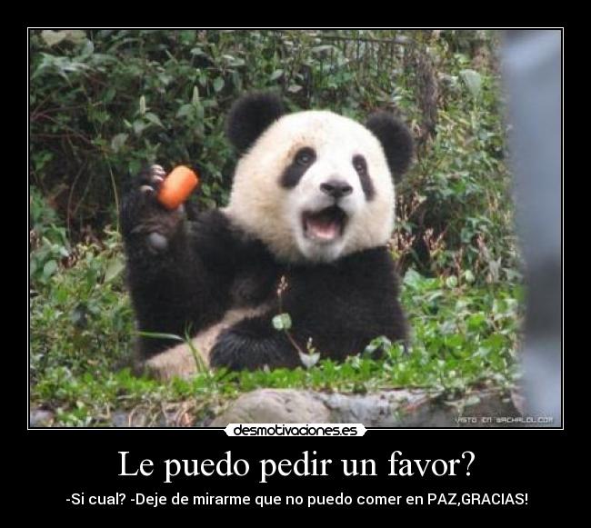 Le puedo pedir un favor? - 