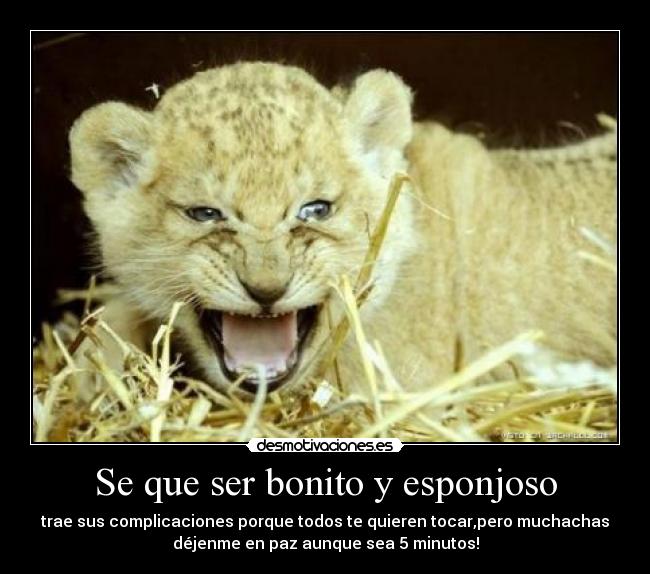 Se que ser bonito y esponjoso -