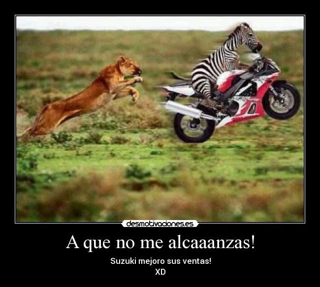 carteles suzuki leona cebra corriendo zerengueti africa voten positivo todopoderosopeneator desmotivaciones