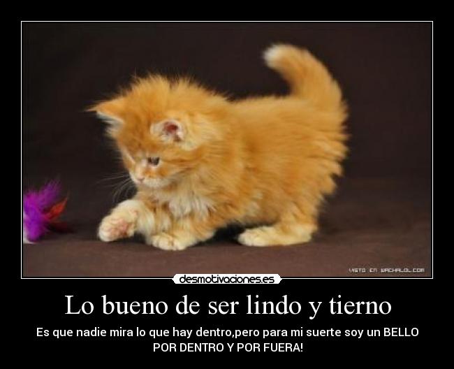 Lo bueno de ser lindo y tierno -