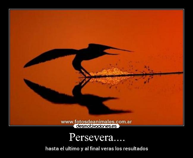 Persevera.... -