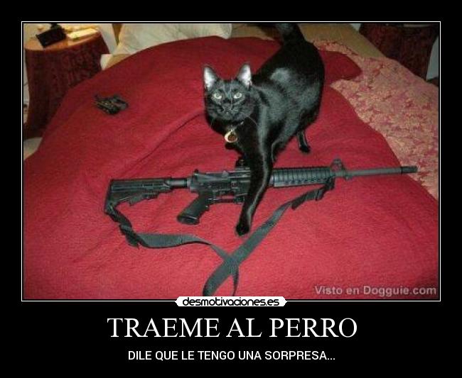 TRAEME AL PERRO - DILE QUE LE TENGO UNA SORPRESA...