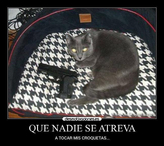 QUE NADIE SE ATREVA - A TOCAR MIS CROQUETAS...