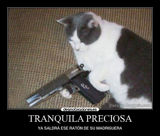 TRANQUILA PRECIOSA - YA SALDRÁ ESE RATÓN DE SU MADRIGUERA