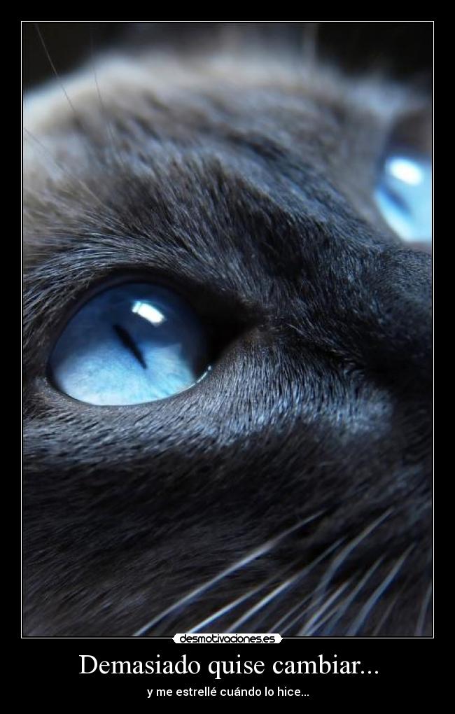 Demasiado quise cambiar... - y me estrellé cuándo lo hice...