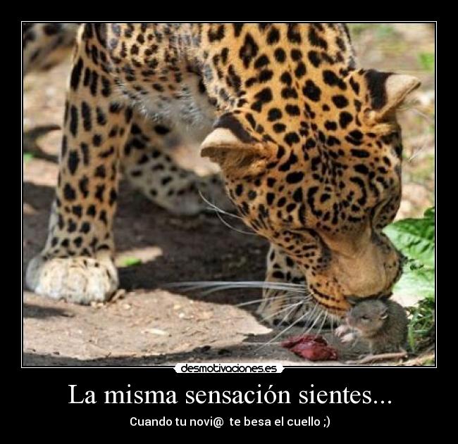 La misma sensación sientes... - 