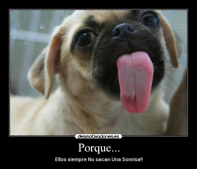 Porque... - 