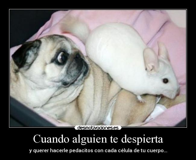 carteles asldfjalfj odio cuando asustan ewe hagas vida mordere desmotivaciones