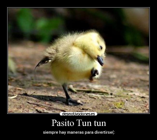 Pasito Tun tun -
