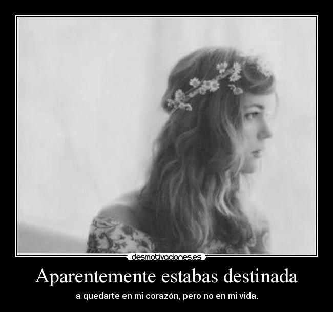 Aparentemente estabas destinada -