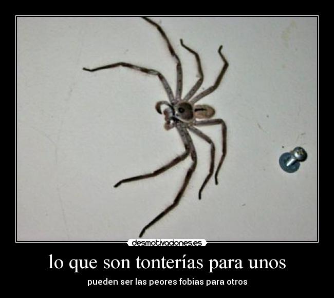 lo que son tonterías para unos - pueden ser las peores fobias para otros