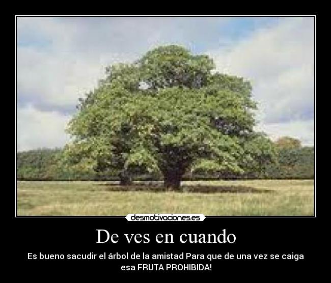 carteles xasas desmotivaciones