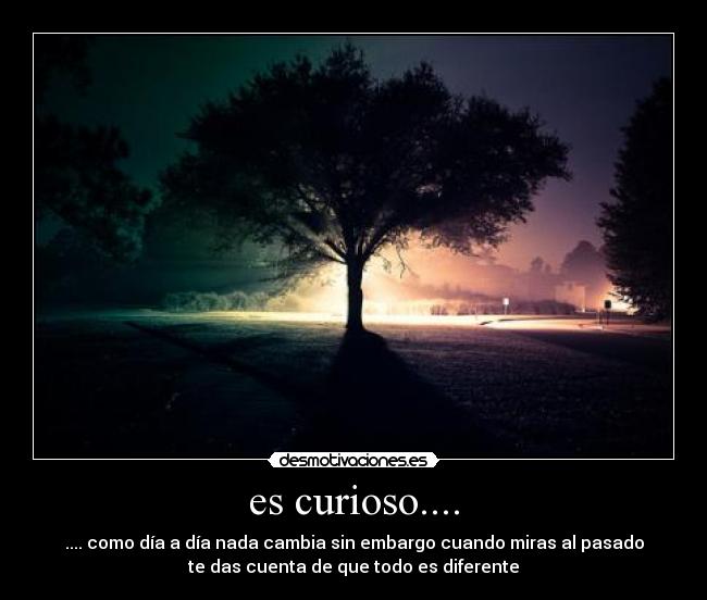 es curioso.... - .... como día a día nada cambia sin embargo cuando miras al pasado
te das cuenta de que todo es diferente