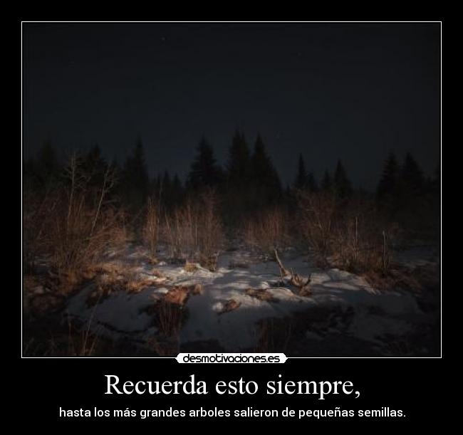 Recuerda esto siempre, - hasta los más grandes arboles salieron de pequeñas semillas.