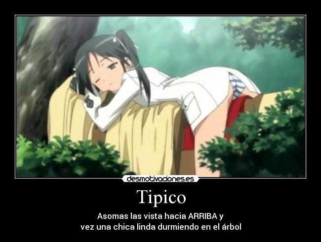 carteles anime tipico desmotivaciones
