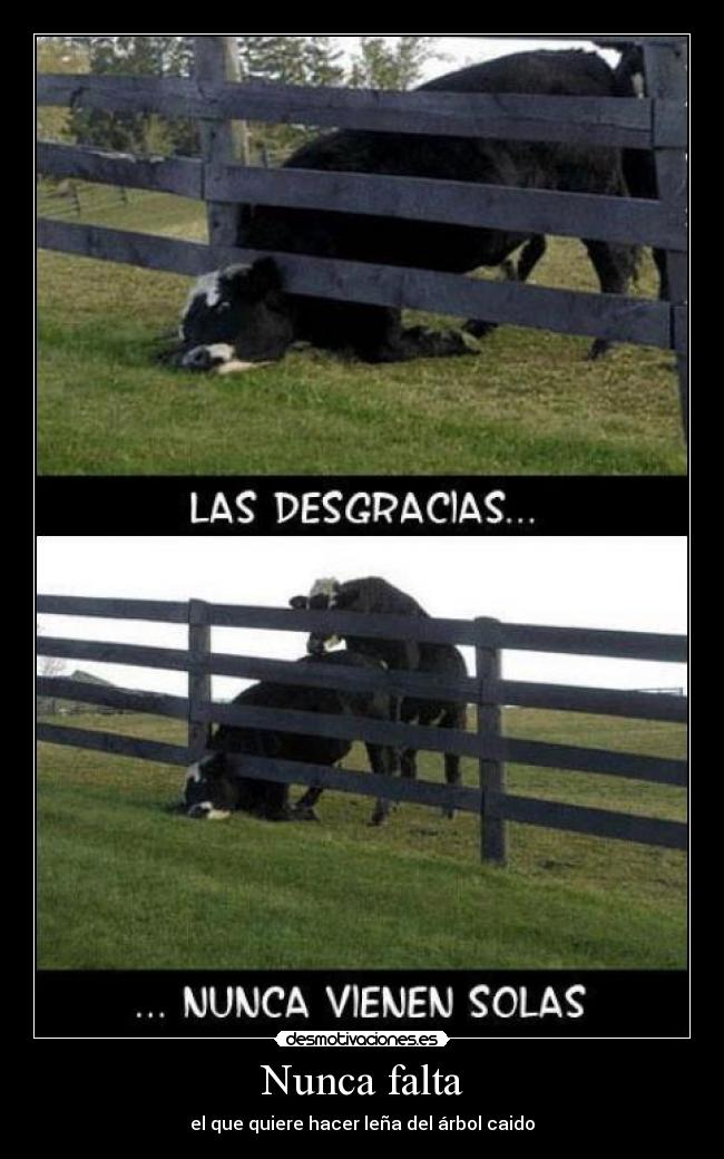 Nunca falta -