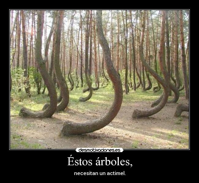 Éstos árboles, - necesitan un actimel.