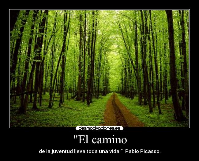 El camino - de la juventud lleva toda una vida. Pablo Picasso.