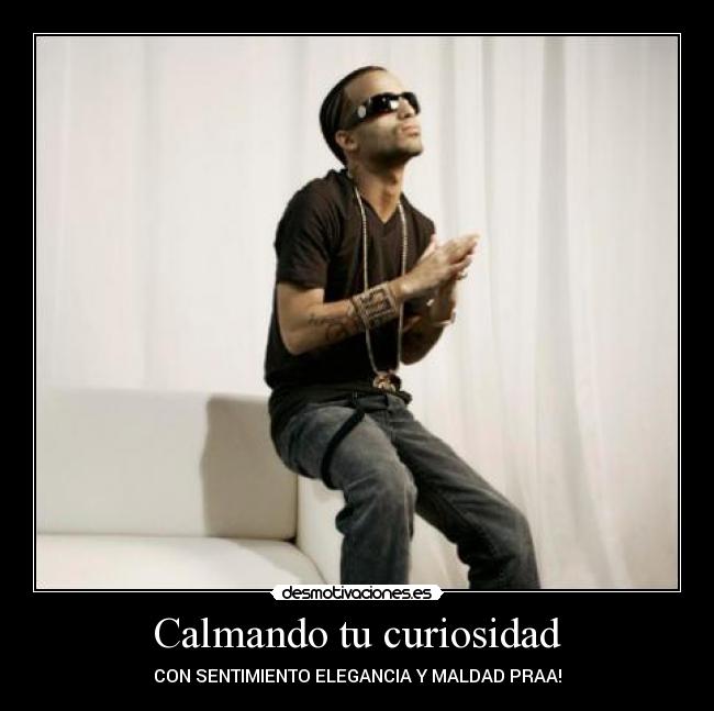 Calmando tu curiosidad - CON SENTIMIENTO ELEGANCIA Y MALDAD PRAA!