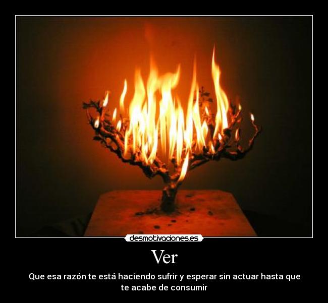Ver - Que esa razón te está haciendo sufrir y esperar sin actuar hasta que
te acabe de consumir