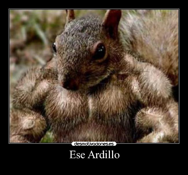 Ese Ardillo - 