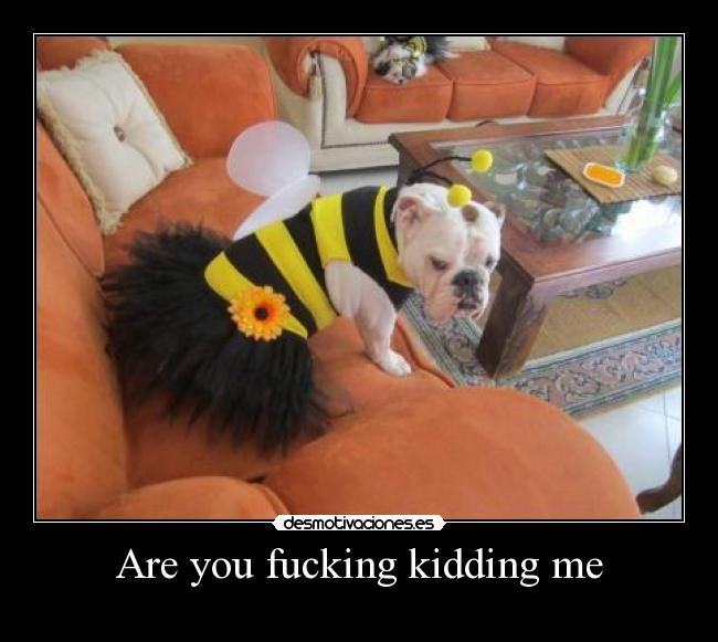 Are you fucking kidding me - 