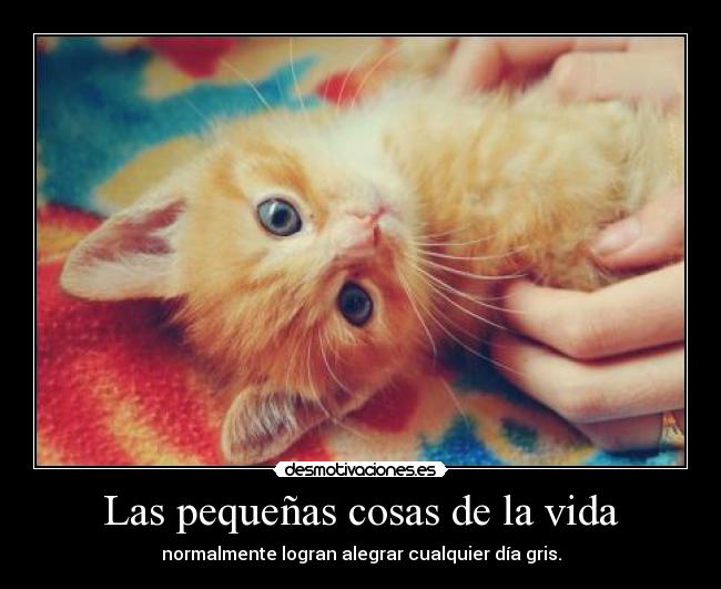 carteles vida las pequenas cosas vida normalmente logran alegrar cualquier dia gris revelation desmotivaciones