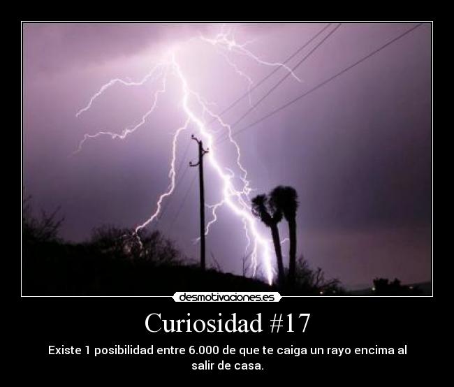 Curiosidad #17 - 