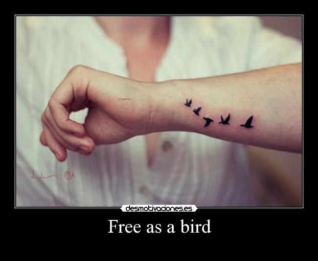 Free as a bird -