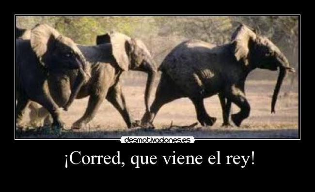 ¡Corred, que viene el rey! -