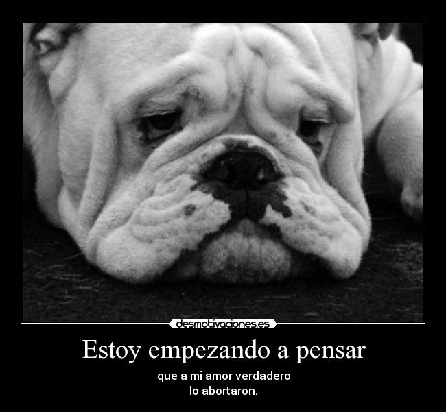 carteles desgracias del aborto desmotivaciones