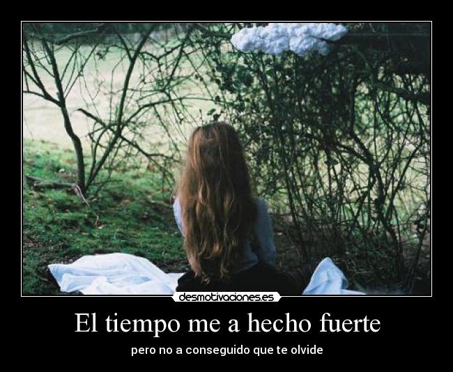 carteles olvido desmotivaciones