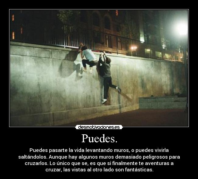 carteles assasas desmotivaciones