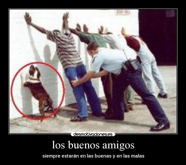 los buenos amigos - siempre estarán en las buenas y en las malas