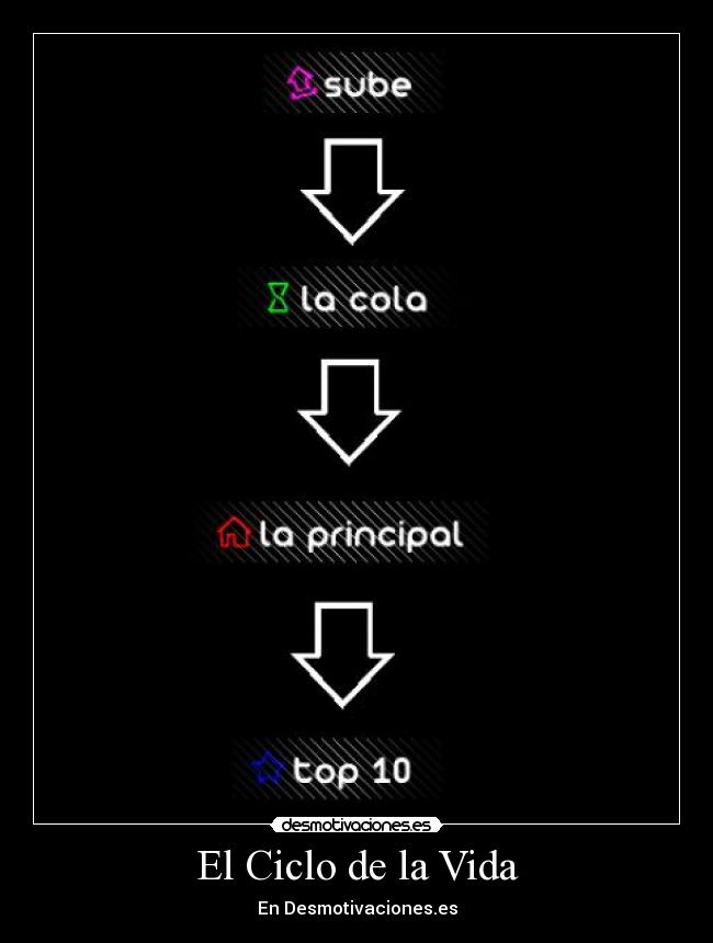 El Ciclo de la Vida -