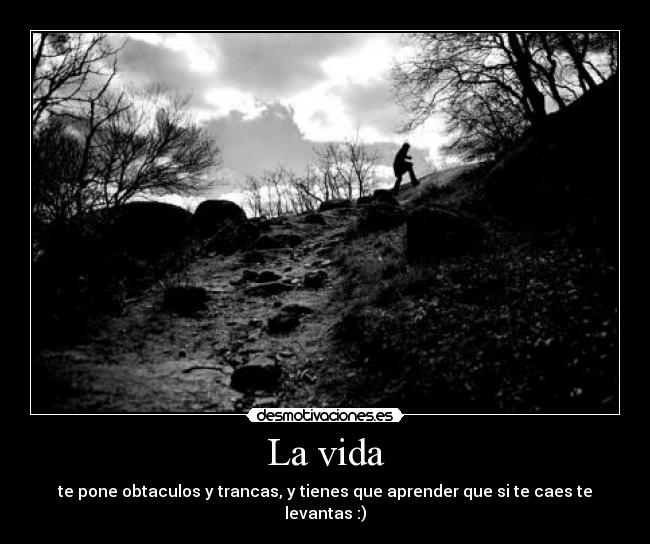 La vida - te pone obtaculos y trancas, y tienes que aprender que si te caes te levantas :)