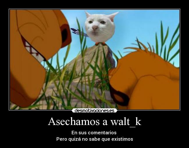 carteles gato intruders clanreyleon perdon waltk pero dio risa como quedo esta imagen desmotivaciones
