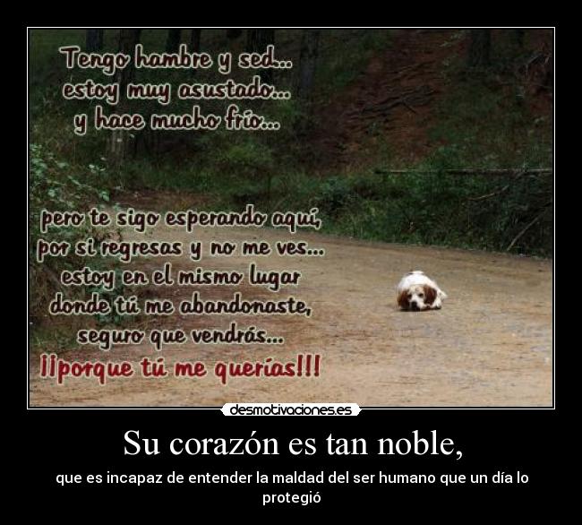 Su corazón es tan noble, - 