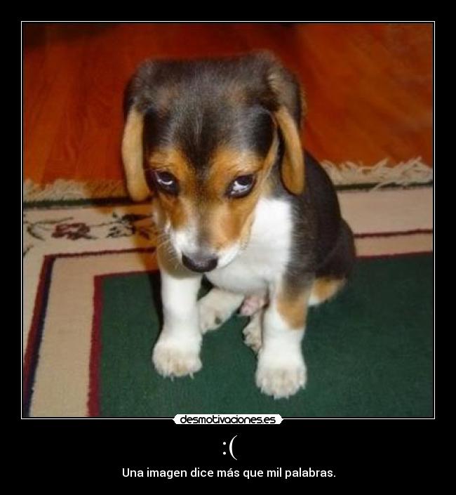 :( - Una imagen dice más que mil palabras.