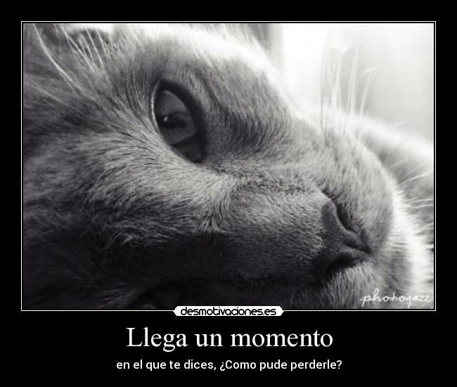Llega un momento - en el que te dices, ¿Como pude perderle?
