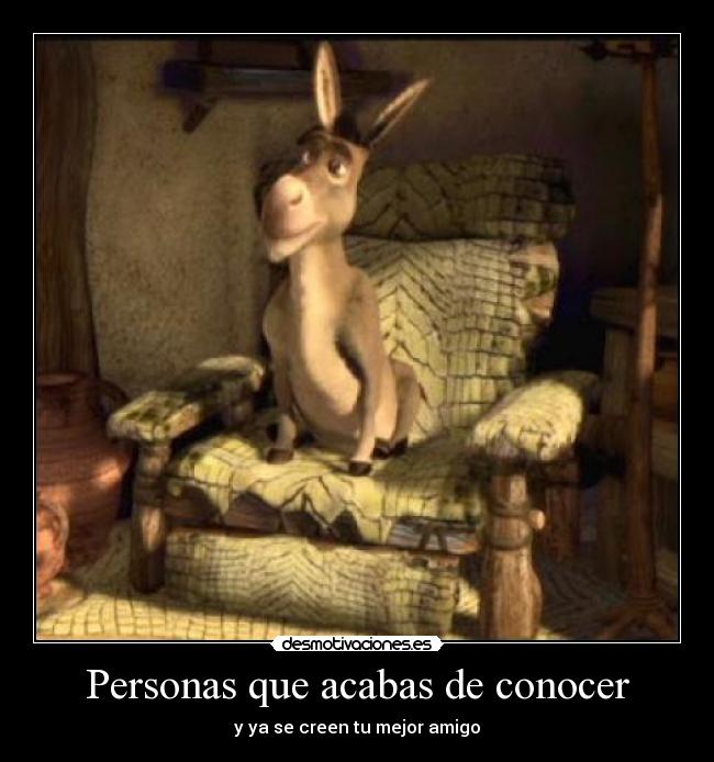 carteles shrek burro personas acabas conocer creen mejor amigo desmotivaciones