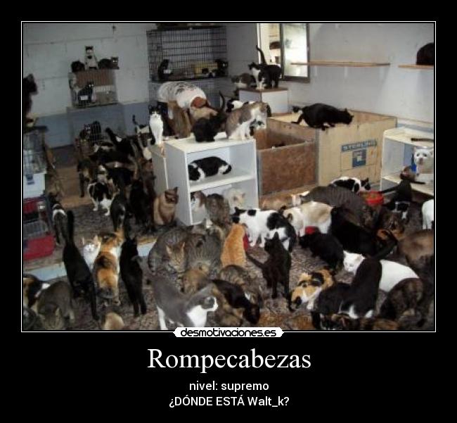 Rompecabezas - nivel: supremo
¿DÓNDE ESTÁ Walt_k?