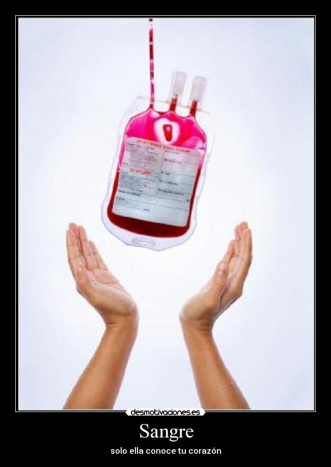 Sangre - 