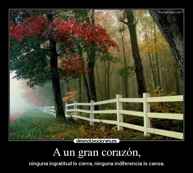 A un gran corazón, -