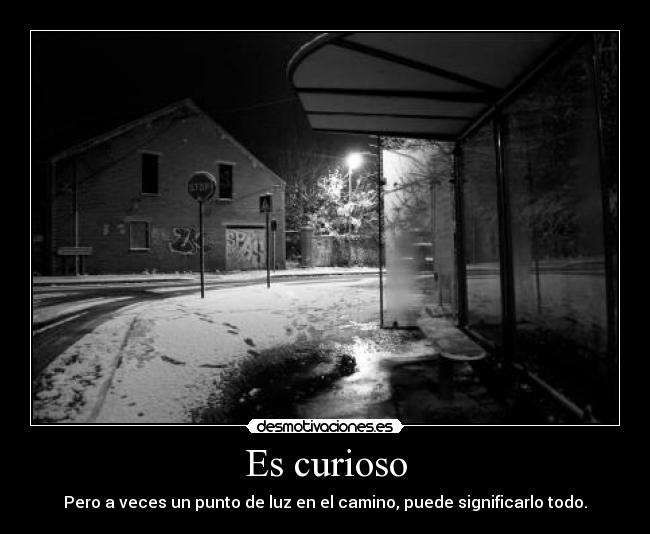 carteles curiosidades humanas desmotivaciones