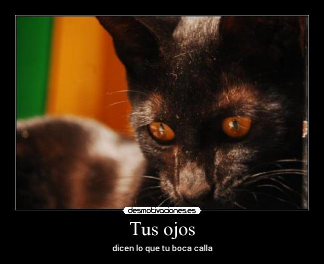 Tus ojos - dicen lo que tu boca calla