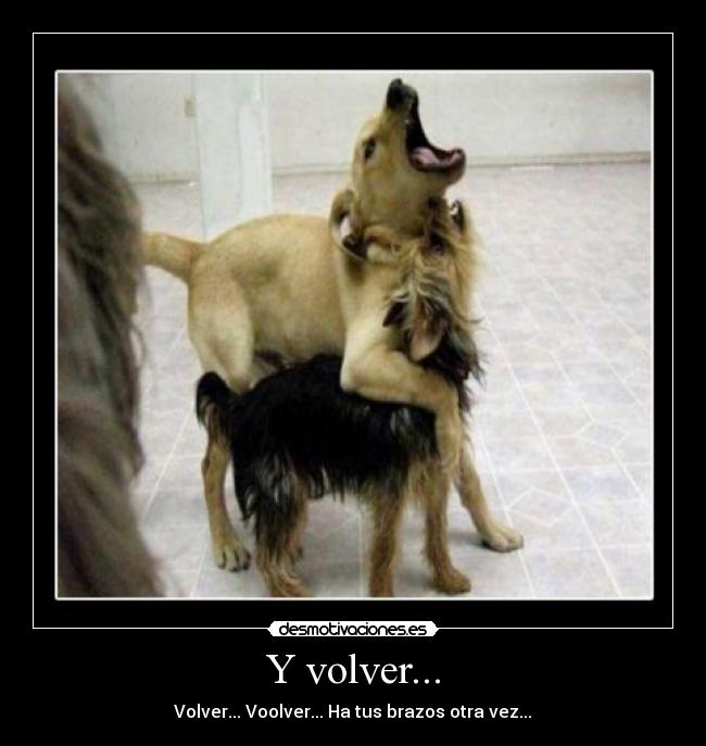 Y volver... - 