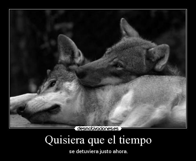 Quisiera que el tiempo - se detuviera justo ahora.