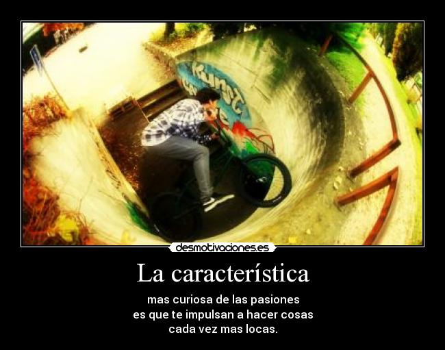 La característica - 